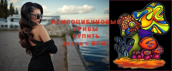 apvp Тайга