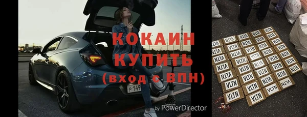 apvp Тайга